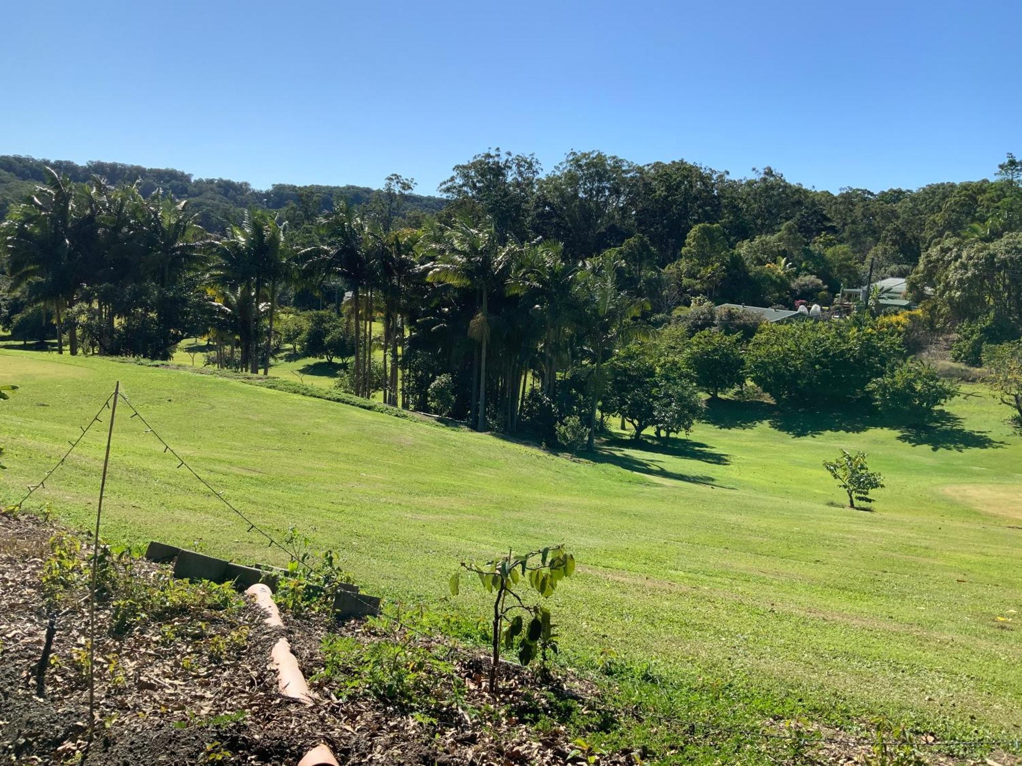 Sunshine Coast Retreat Your Own Private Golf Course Diddillibah Ngoại thất bức ảnh