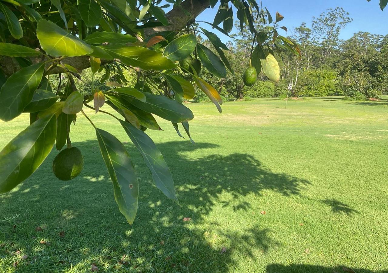Sunshine Coast Retreat Your Own Private Golf Course Diddillibah Ngoại thất bức ảnh