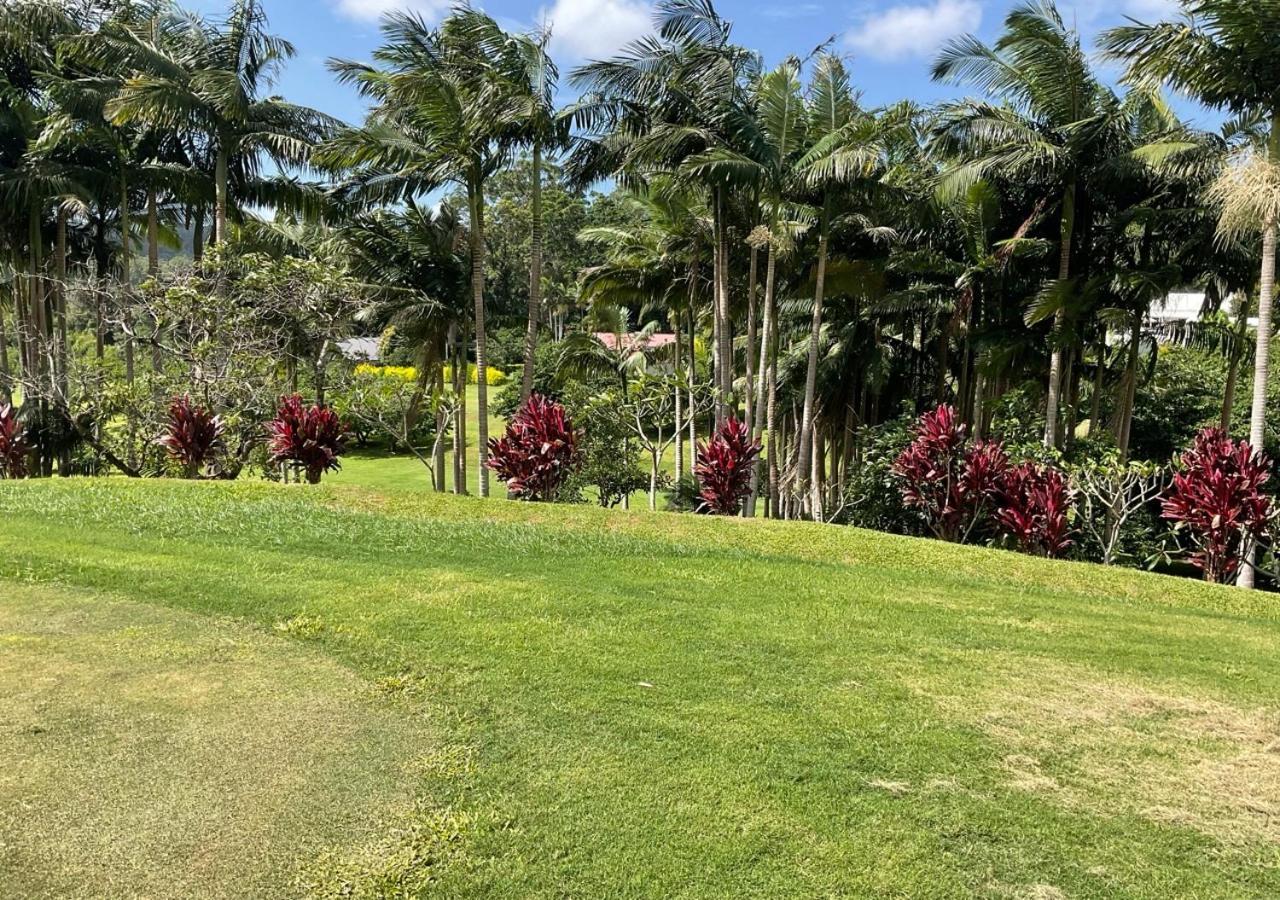 Sunshine Coast Retreat Your Own Private Golf Course Diddillibah Ngoại thất bức ảnh