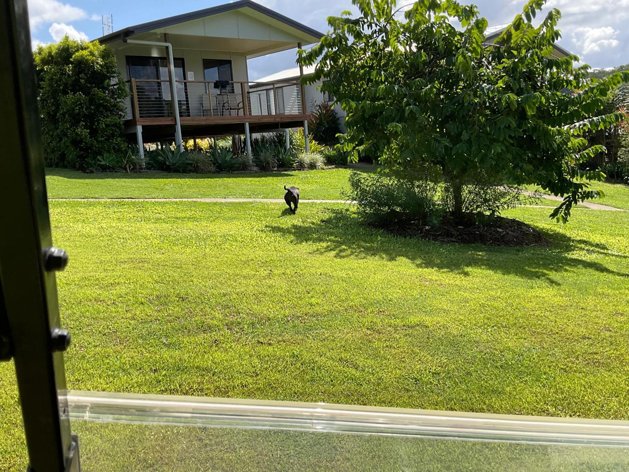 Sunshine Coast Retreat Your Own Private Golf Course Diddillibah Ngoại thất bức ảnh